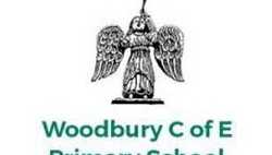 Woodbury School "Feel the Computeam Difference"
