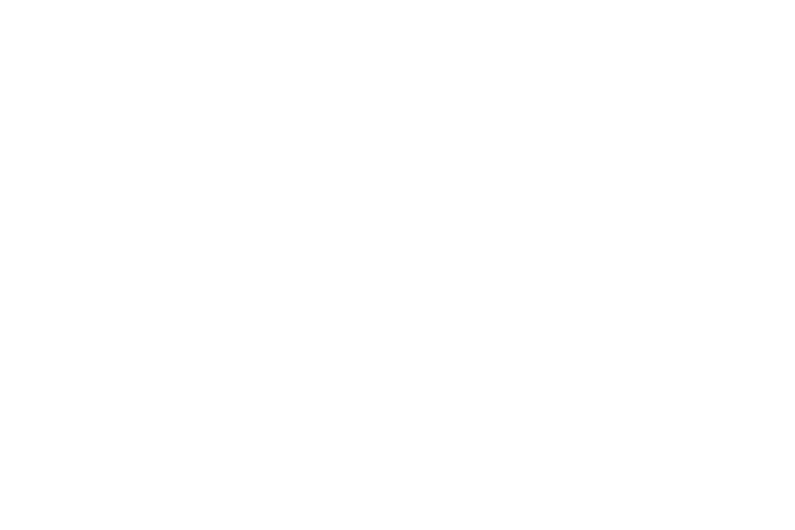 Gold Microsoft Partner.png