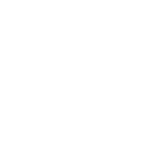 securly.png